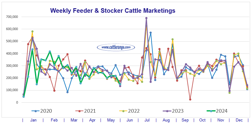 Feeder & Stocker Cattle Marketings for the week ending 6/1/24
