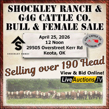 Shockley Ranch & G4G Cattle Co. Annual Bull and Female sale