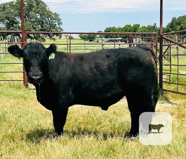 Cattle Range Listing Photo