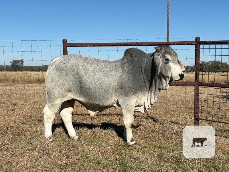 Cattle Range Listing Photo