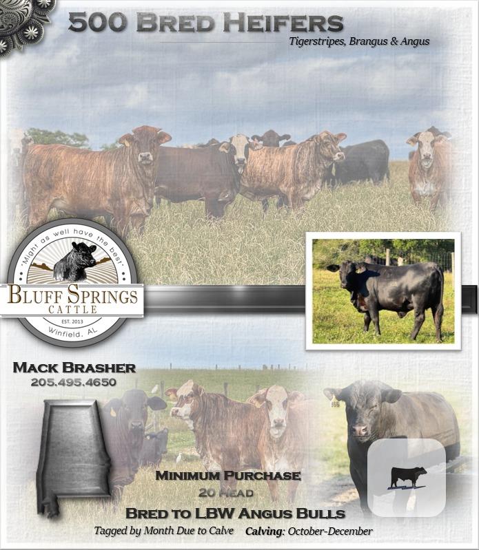 Cattle Range Listing Photo