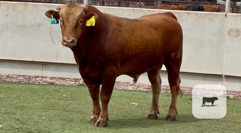 Cattle Range Listing Photo