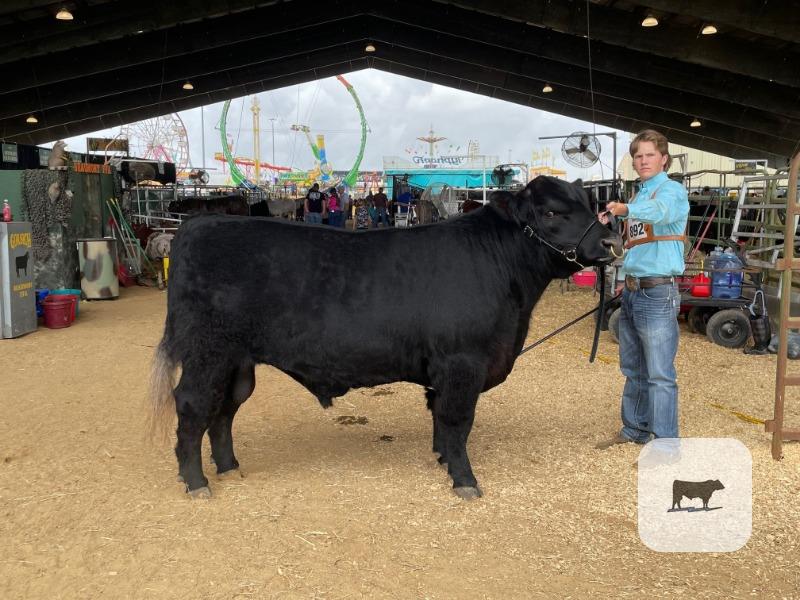 Cattle Range Listing Photo