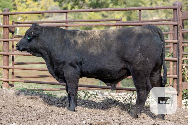 Cattle Range Listing Photo 2