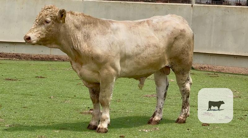Cattle Range Listing Photo