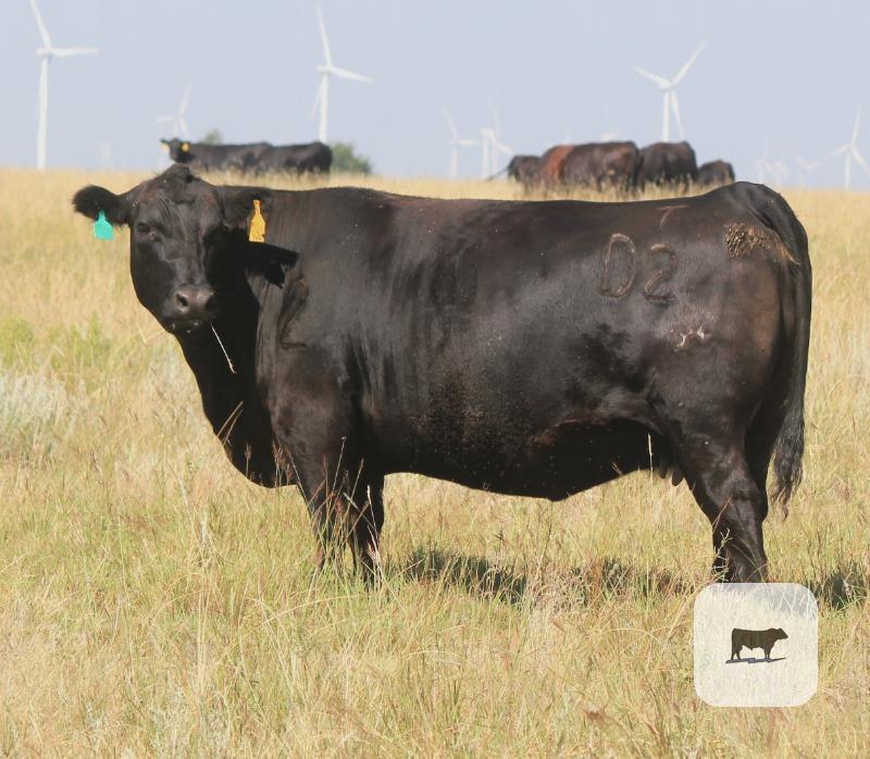 Pasture & Range Conditions as of 9/7/25