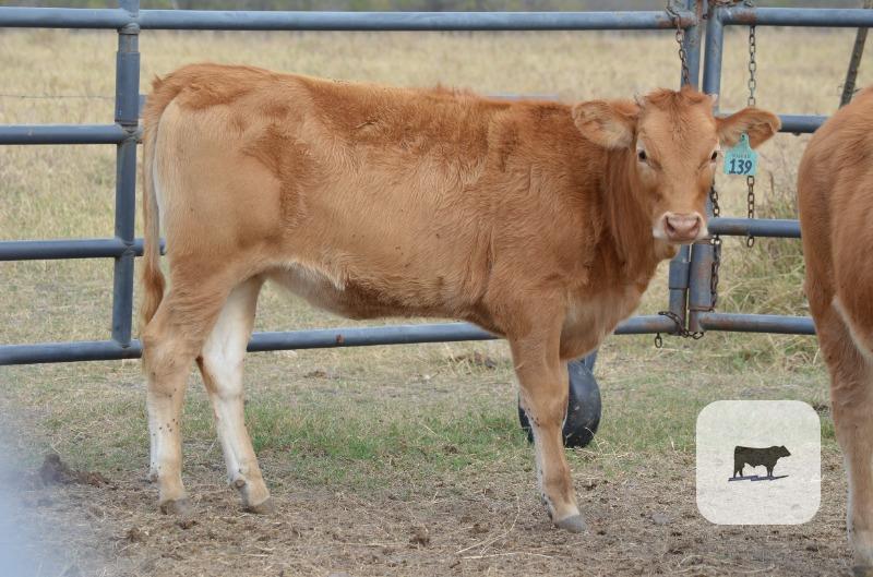 Cattle Range Listing Photo