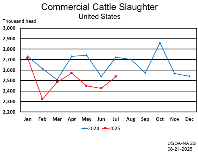 Commercial Red Meat Production Down 4 Percent Last Month