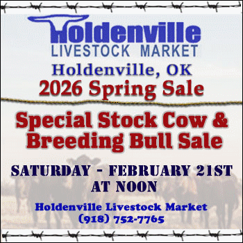 Holdenville Livestock Market Special Stock Cow and Breeding Bull Sale