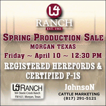 W4 Ranch Spring Production Sale