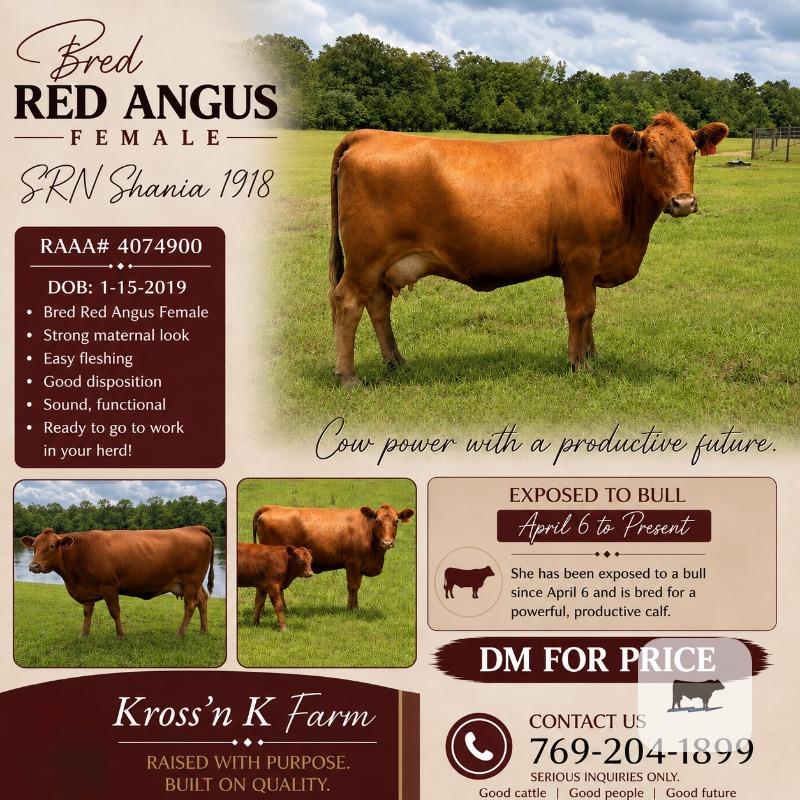 Cattle Range Listing Photo