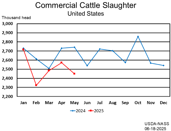 May Commercial Red Meat Production Down 5 Percent from Last Year
