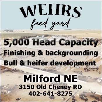 WEHRS Feed Yard (1)