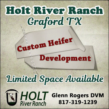 Holt River Ranch Custom Heifer Development