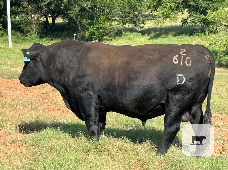 Cattle Range Listing Photo