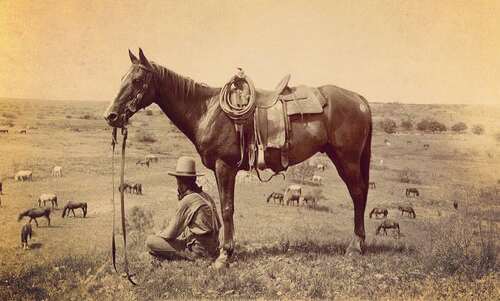 Lonesome Report: Is Beef on Dairy the American Ranchers Biggest Enemy?