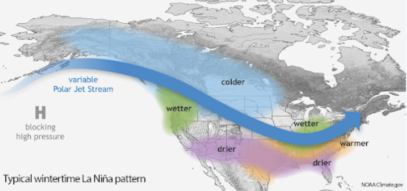 La Niña is likely to develop this Winter