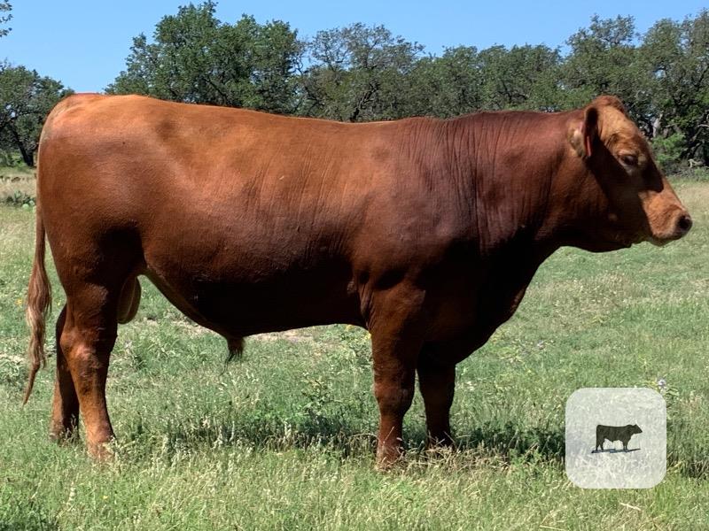 Cattle Range Listing Photo