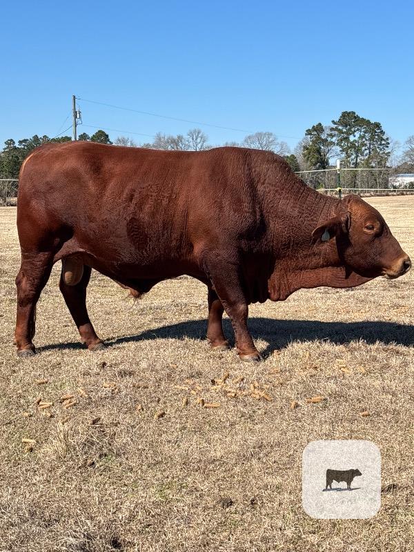 Cattle Range Listing Photo