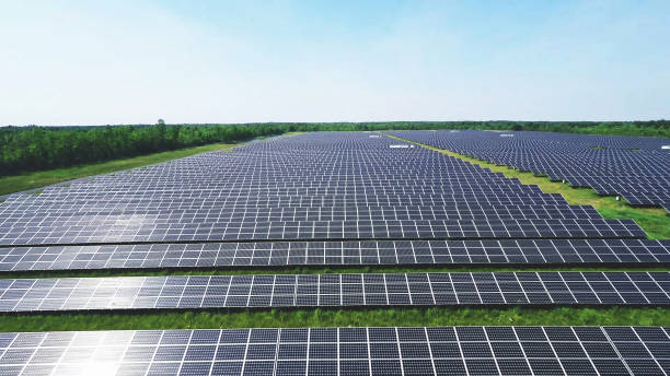 Secretary Rollins Blocks Taxpayer Dollars for Solar Panels on Prime Farmland