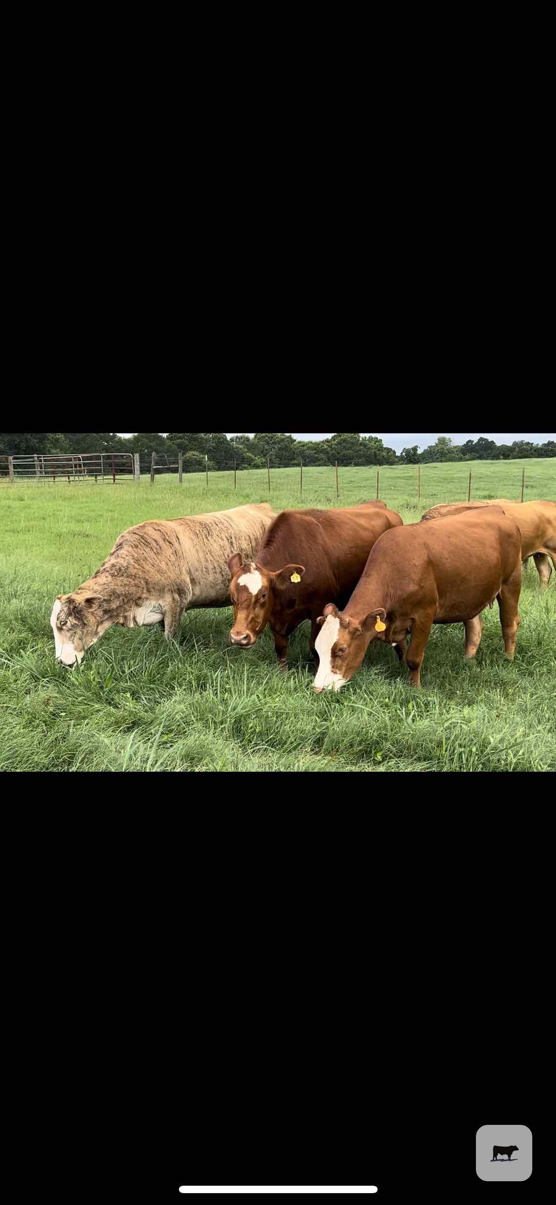 Cattle Range Listing Photo