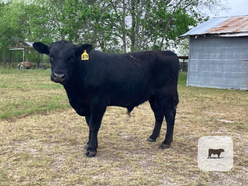 Cattle Range Listing Photo