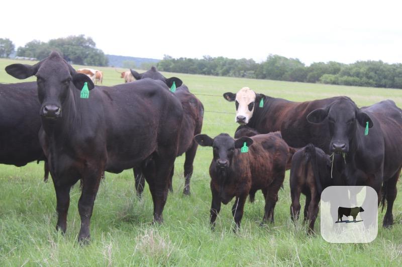 Cattle Range Listing Photo