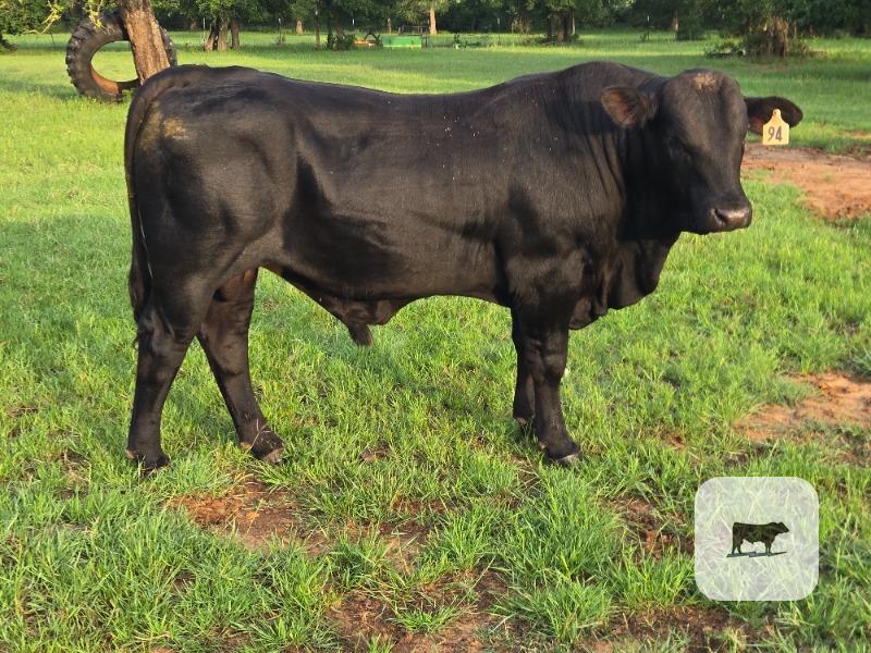 Cattle Range Listing Photo