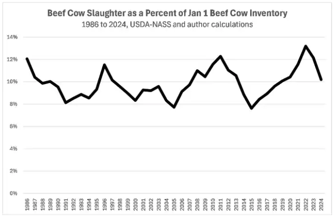 Decrease in Cow Slaughter could indicate Expansion on the Horizon