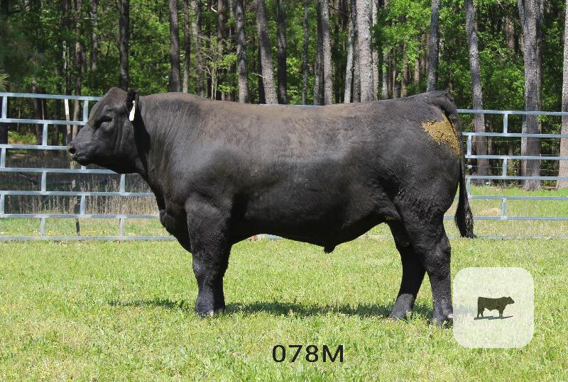 Cattle Range Listing Photo