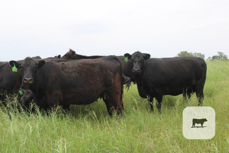 Pasture & Range Conditions as of 5/25/25