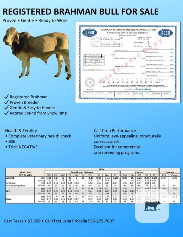 Cattle Range Listing Photo