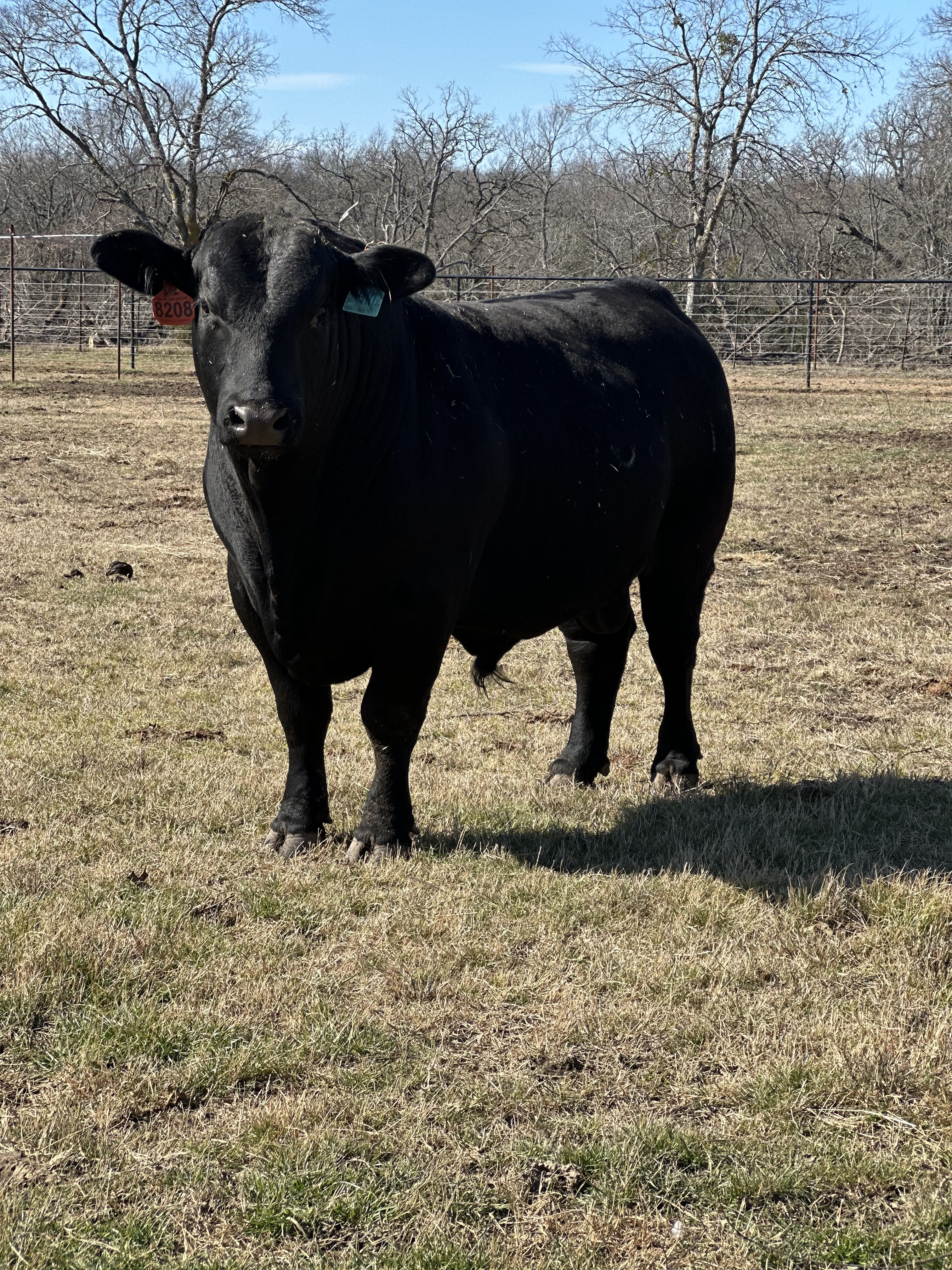 Cattle Range Listing Photo