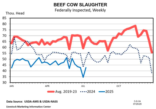 Beef Cow Slaughter will be the Inventory Driver for the Rest of 2025