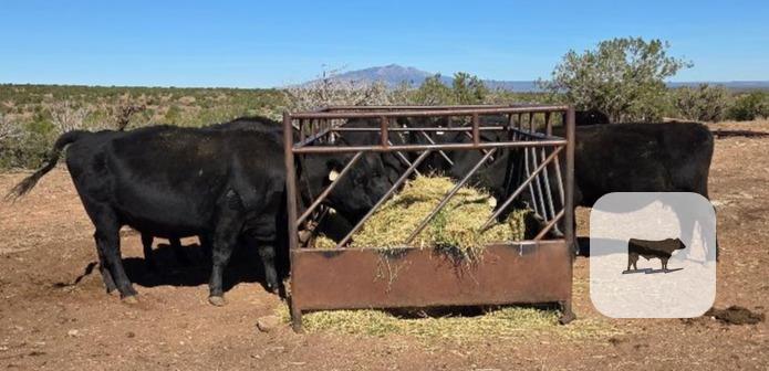Cattle Range Listing Photo