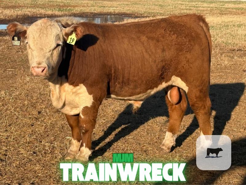 Cattle Range Listing Photo