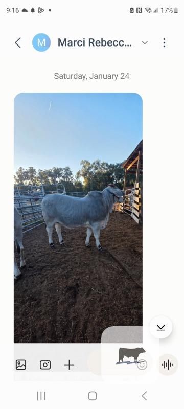 Cattle Range Listing Photo