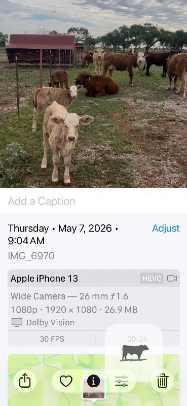 Cattle Range Listing Photo