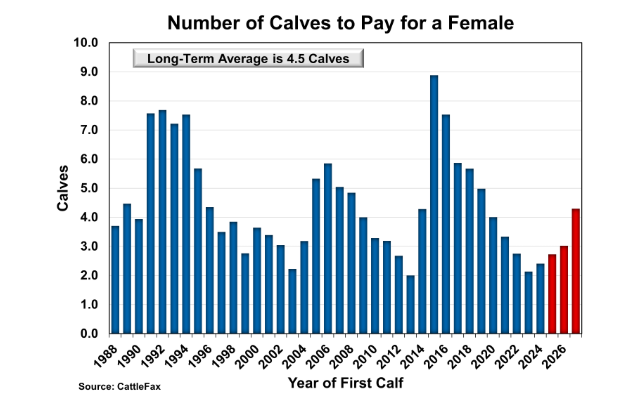 Current Value of Replacement Heifers