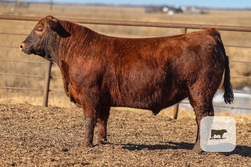 Cattle Range Listing Photo