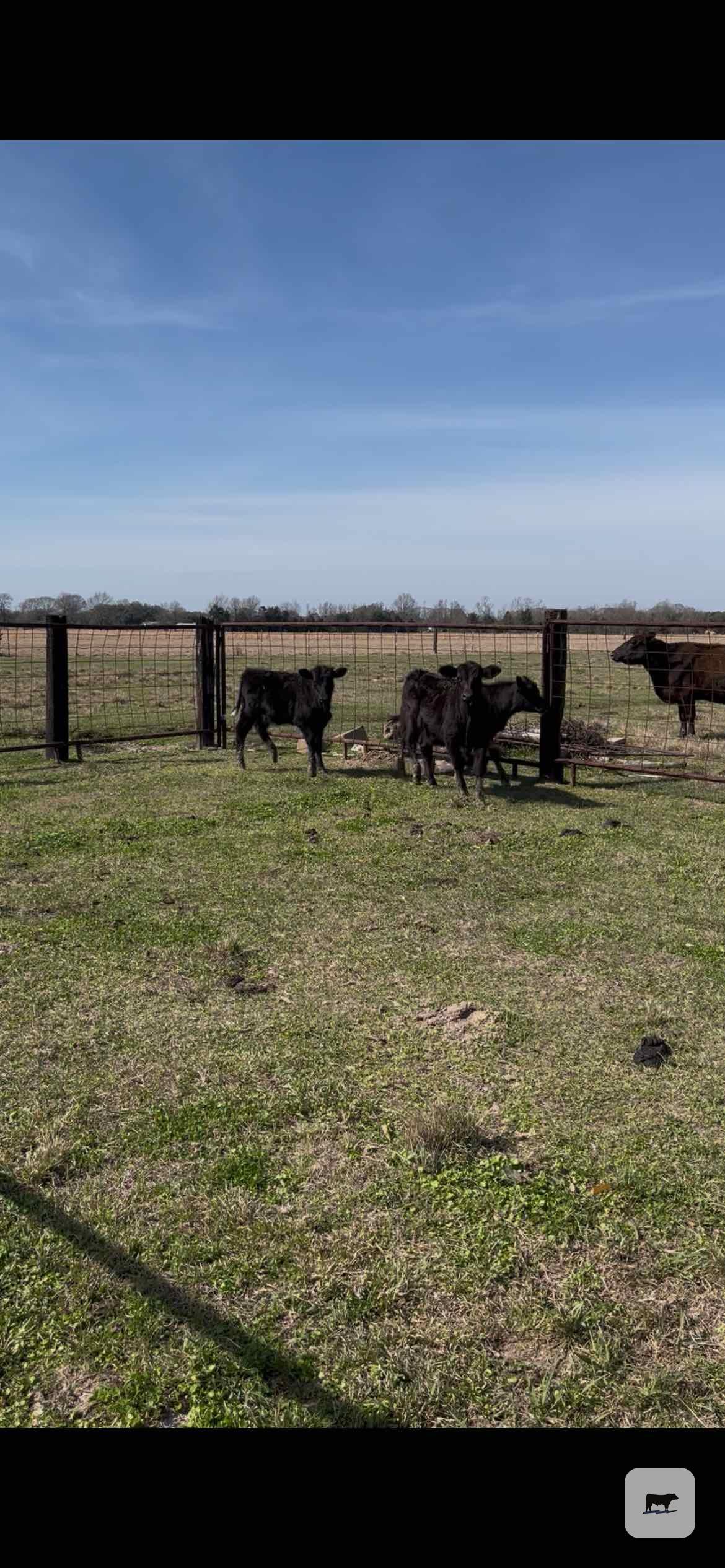 Cattle Range Listing Photo