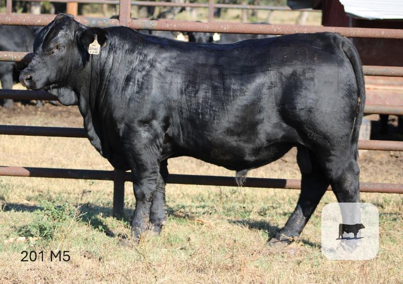 Cattle Range Listing Photo 6