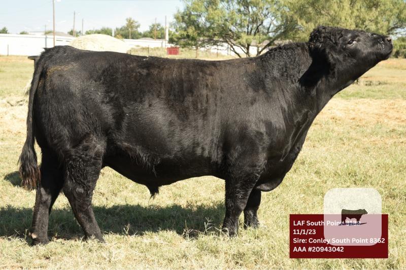 Cattle Range Listing Photo