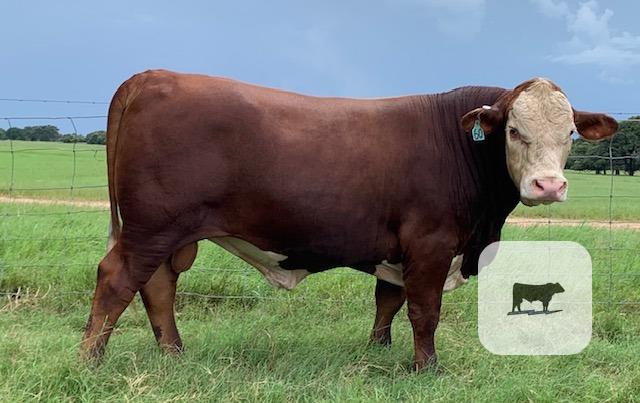 Cattle Range Listing Photo