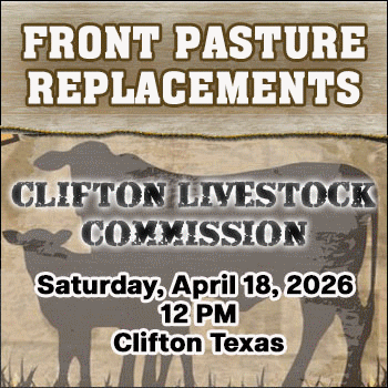 Front Pasture Replacements Sale- Clifton Livestock Commission