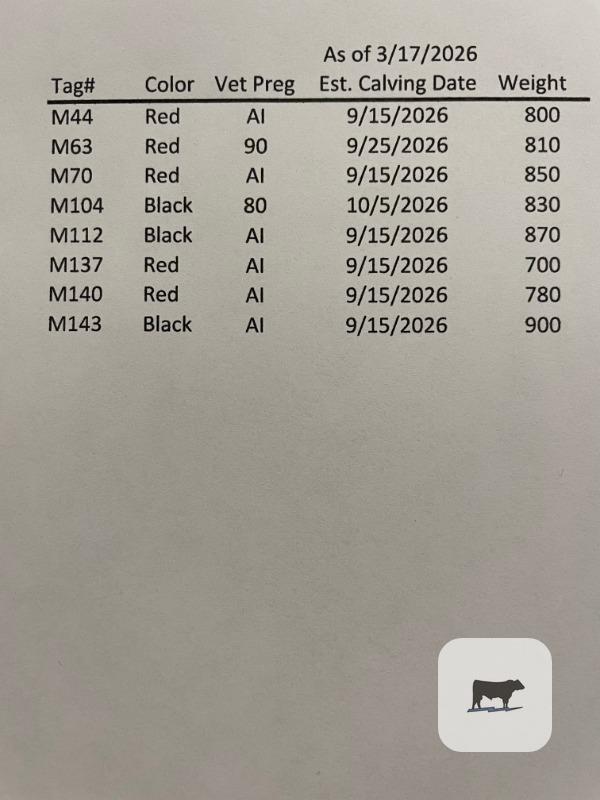 Cattle Range Listing Photo