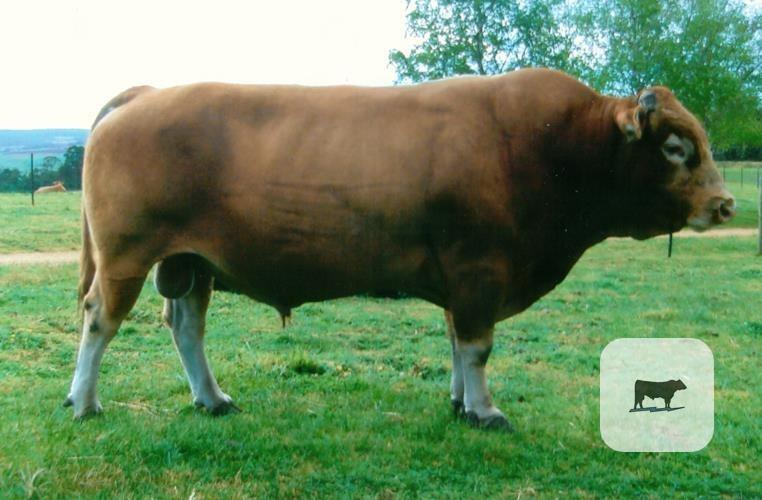 Cattle Range Listing Photo