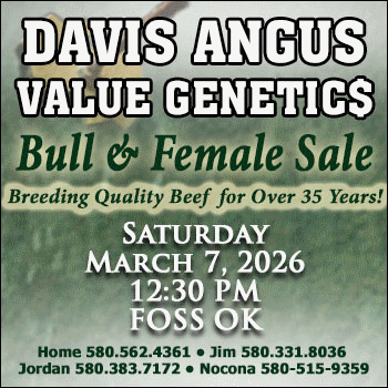 Davis Angus Bull & Female Sale 3-7-26