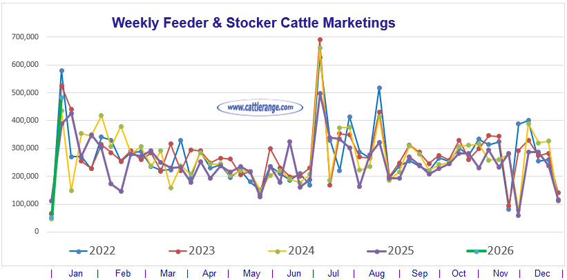 Feeder & Stocker Cattle Marketings for the week ending 1/10/26