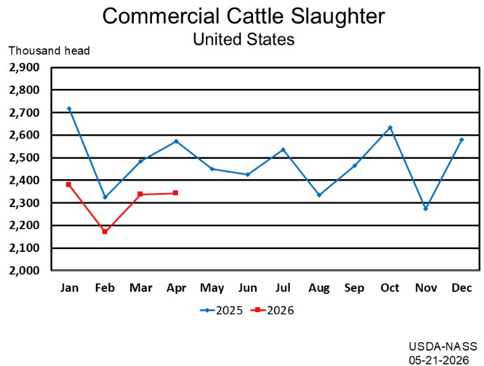 5/21/26: USDA Monthly Livestock Slaughter Report